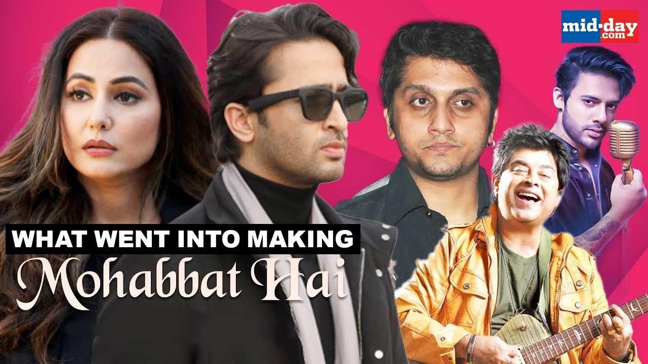 'Comfort And Chemistry That Hina and Shaheer Have Helped Me For Mohabbat Hai'